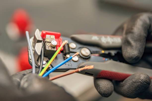Best Electrical Upgrades for Homes  in Allendale, MI