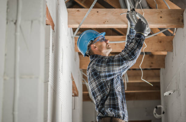 Best Residential Electrician Services  in Allendale, MI