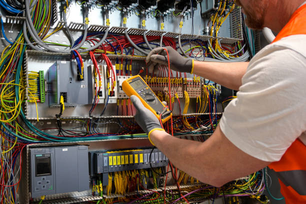 Best Affordable Electrician  in Allendale, MI