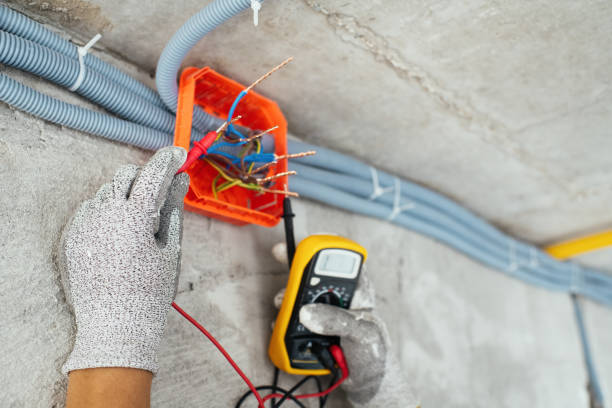 Best Licensed Electrician  in Allendale, MI
