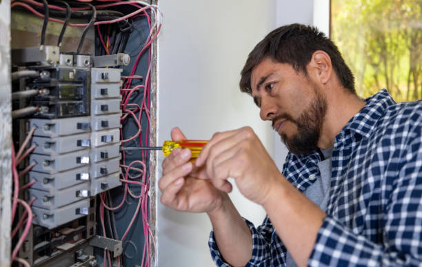 Best Home Electrical Repair  in Allendale, MI